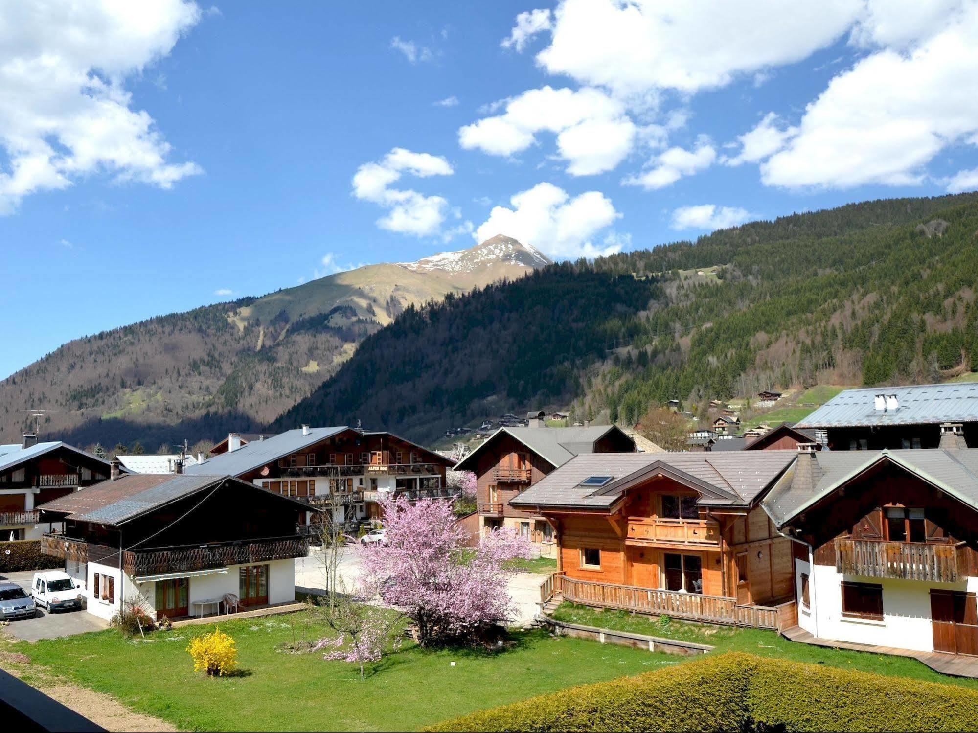 Hotel Les Bruyeres Морзін Екстер'єр фото